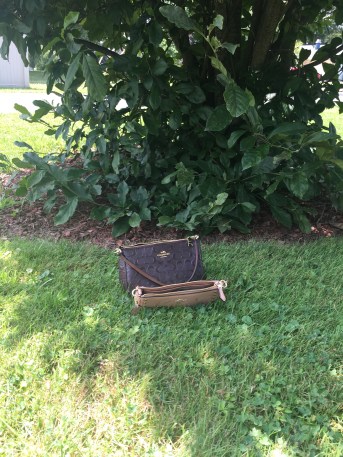 image_554511566064645