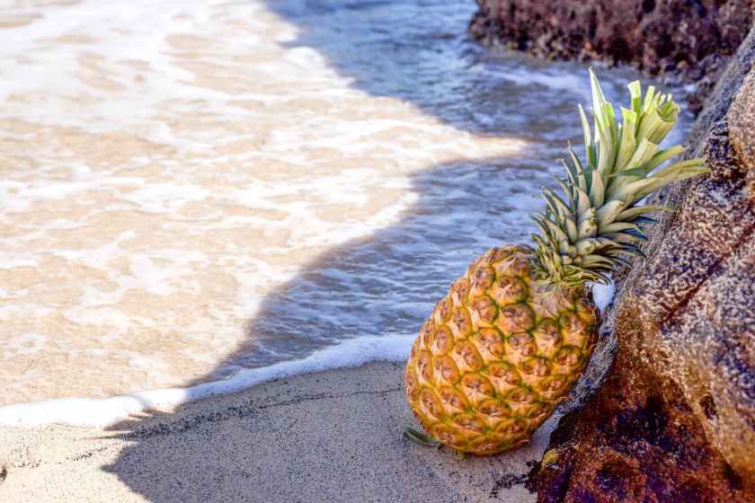 pineapple in seashore leaning on brown rock