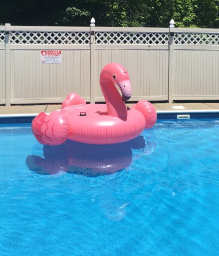 2018-06-14_13-16-48_923