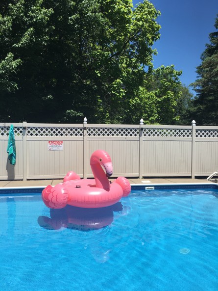 2018-06-14_13-16-48_923