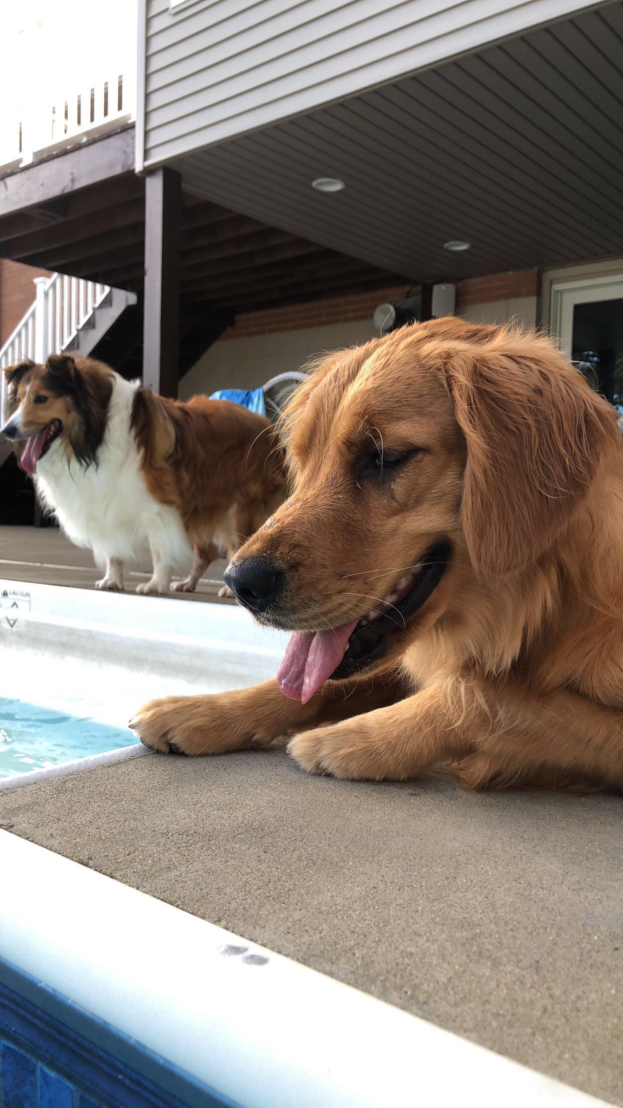 2018-09-15_16-23-23_058